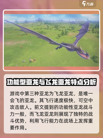 龙石战争🔥亚龙全介绍，玩家必看 SECRET截图4