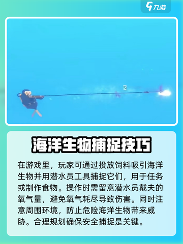 潜水员戴夫投放饲料🔥超简单玩法💯截图3
