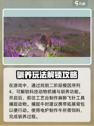 七日世界河谷牛皮怎么获得介绍截图4