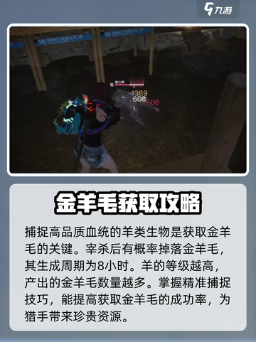 七日世界金羊毛有什么用介绍截图3