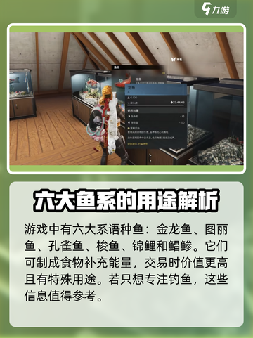 七日世界金龙鱼怎么获得介绍截图2