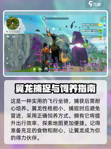 游戏名《创造吧我们的星球》：翼龙抓捕大揭秘🔥🦖截图5