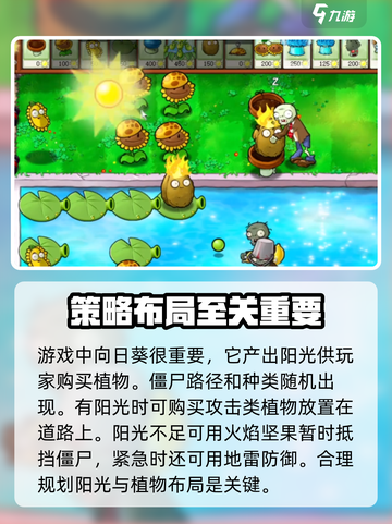 植物大战僵尸杂交版第13关🔥通关秘籍来了！游戏技巧大公开💡截图3