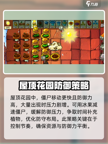 植物大战僵尸杂交版🔥花园通关秘籍⚡截图4