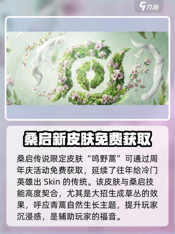 王者荣耀九周年限定皮肤介绍介绍截图3
