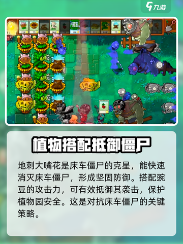 植物大战僵尸🔥床车僵尸打法攻略来啦！轻松通关秘籍截图2