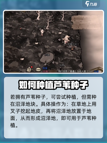 饥荒新家园芦苇怎么获得介绍截图4