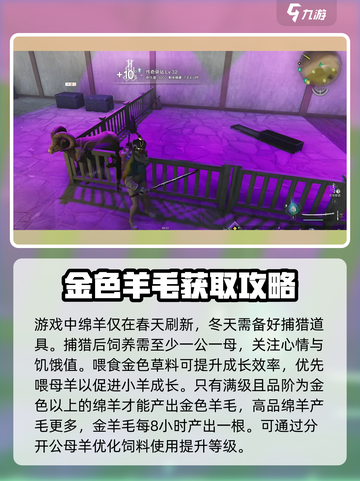 七日世界金羊毛是什么介绍截图4