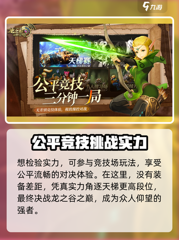 龙之谷世界哪个公司介绍截图3