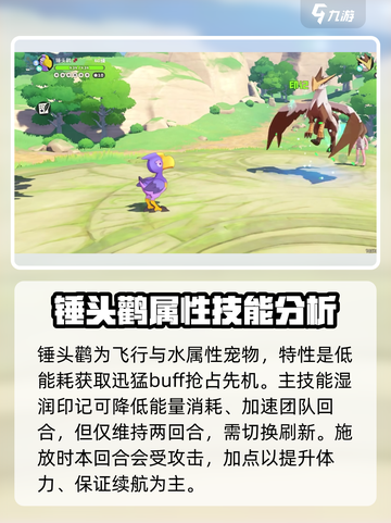 洛克王国手游锤头鹳强度怎么样介绍截图2