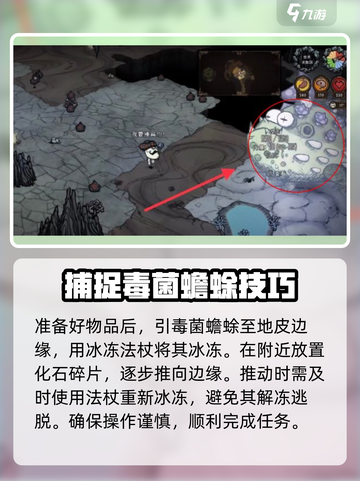 饥荒新家园🔥毒菌蟾蜍打法分享💡截图3