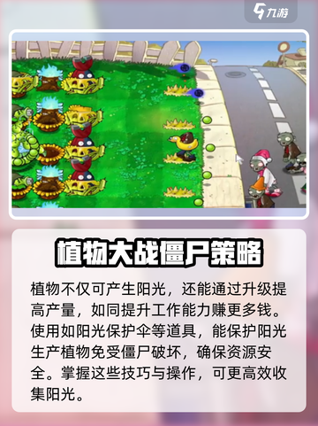 植物大战僵尸💡自动收集阳光技巧⚡游戏玩家必看！截图3