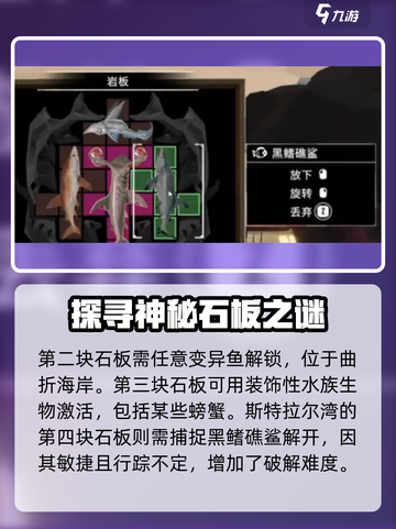渔帆暗涌弯体鱼岩板🔥解谜全攻略💎截图3