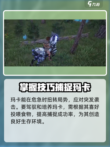 荒野起源🔥玛卡玩法全揭秘！新手必看👇截图5