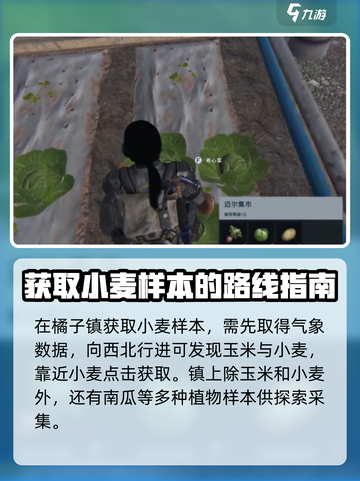 七日世界手游小麦怎么获得介绍截图4