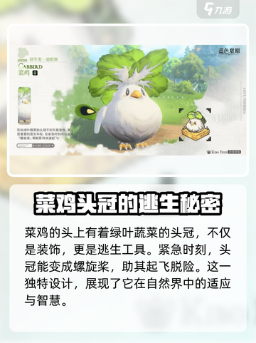 蓝色星原旅谣奇波🔥游戏全解析🎉截图2