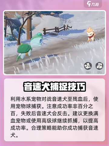 洛克王国手游音速犬抓捕🔥超详细获取方法来了！截图3