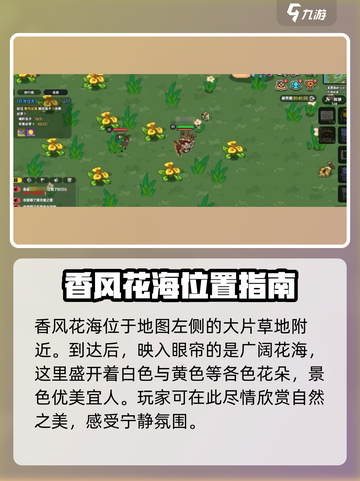 英勇之地香风黄花在哪介绍截图2