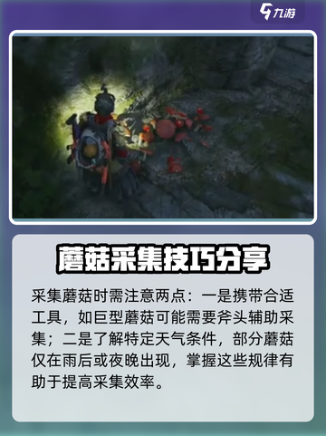 七日世界蘑菇在哪采集介绍截图5