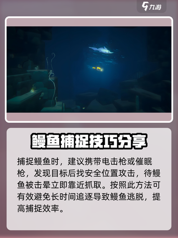 潜水员戴夫鳗鱼怎么抓攻略介绍截图3