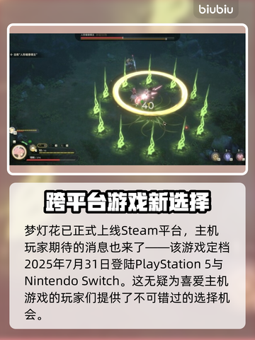 梦灯花上线平台大全🎉游戏党必看！🔥截图2