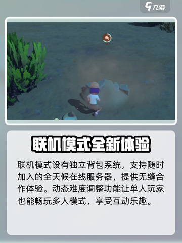 《沙石镇时光》🔥最多支持几人联机？联机玩法大揭秘！截图4