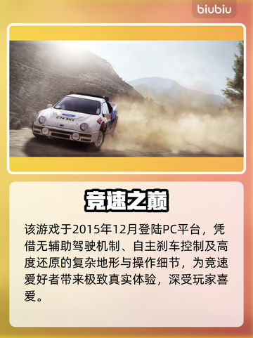 尘埃2闪退？一招解决！⚡🎮截图2