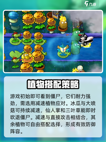 植物大战僵尸杂交版第20关必胜攻略🔥截图3