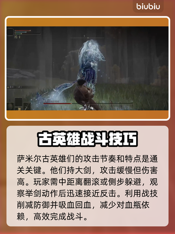 艾尔登法环🔥黑夜君临！萨米尔古英雄打法揭秘✨截图2