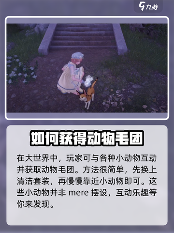 无限暖暖动物毛团获取方法大公开！🎮🐾截图2