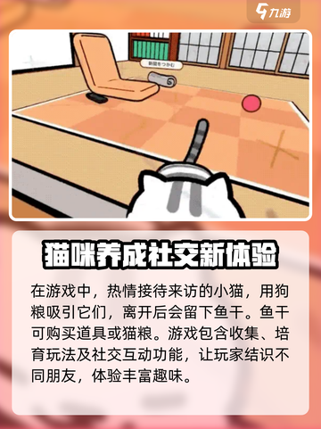猫咪后院2夏季上线时间一览介绍截图4