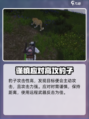 七日世界豹子在哪介绍截图4