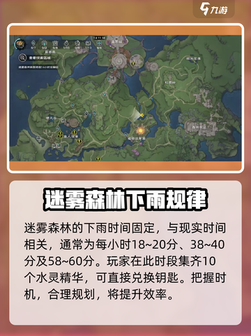 塔瑞斯世界🔥迷雾森林下雨时间大揭秘🌧截图2