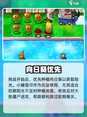 🔥植物大战僵尸12关神操作💥截图3