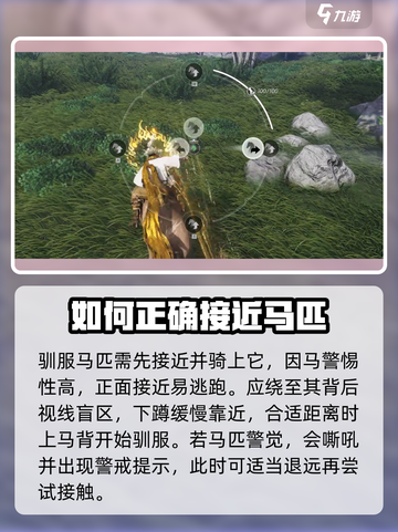 燕云十六声怎么抓马介绍截图2