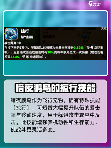 万龙觉醒🔥暗夜鹏鸟技能曝光！bird强无敌？截图3