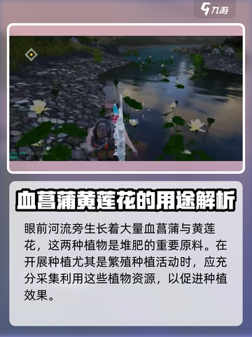 七日世界血菖蒲采集点在哪介绍截图3