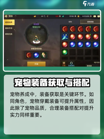 地下城与勇士起源宠物攻略介绍截图5