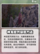 侠客风云传前传神龙密咒怎么用介绍截图5