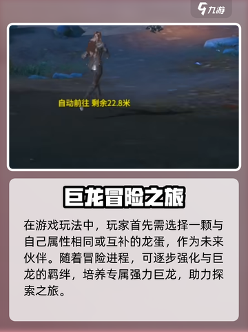 龙之灵域坐骑有哪些介绍截图3