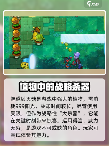植物大战僵尸：魅惑毁灭菇6🔥超强作用大揭秘！截图4