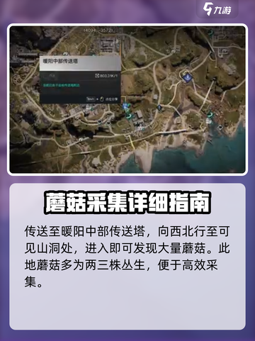 七日世界蘑菇在哪采集介绍截图3