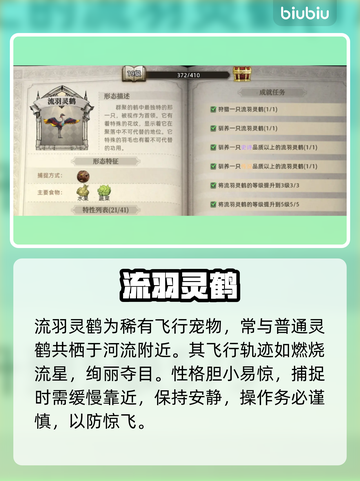 【荒原曙光】神宠TOP5🔥必养！截图4