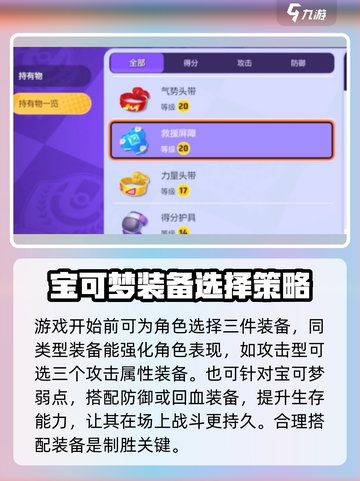 宝可梦大集装备有哪些介绍截图4