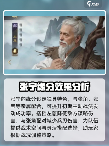 三国谋定天下张宁介绍介绍截图5