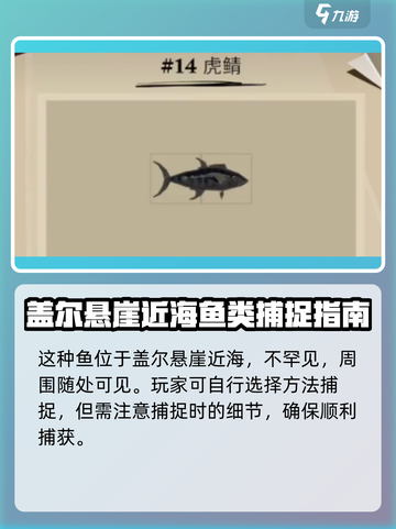渔帆暗涌虎鲭在什么地方介绍截图2