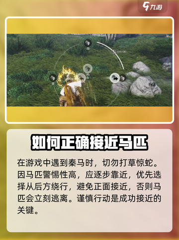 燕云十六声秦马如何抓捕介绍截图2