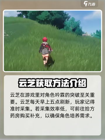 鸣潮⚡云芝具体位置大曝光！玩家必看🔥截图2