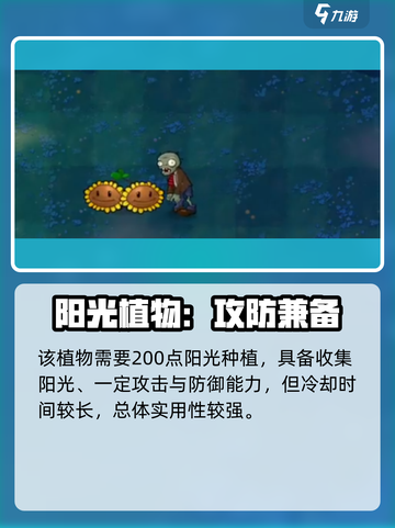 💥植物大战僵尸阳光炸弹太强了！🌞💣截图4