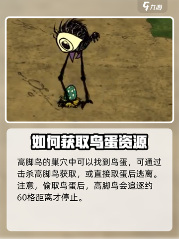 饥荒联机版高脚鸟蛋怎么孵化介绍截图2